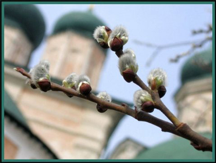 Вербное воскресенье Вербное воскресенье